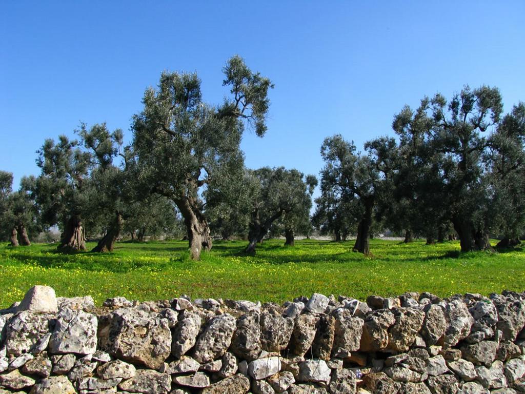 Trulli Holiday Albergo Diffuso Alberobello Exterior photo