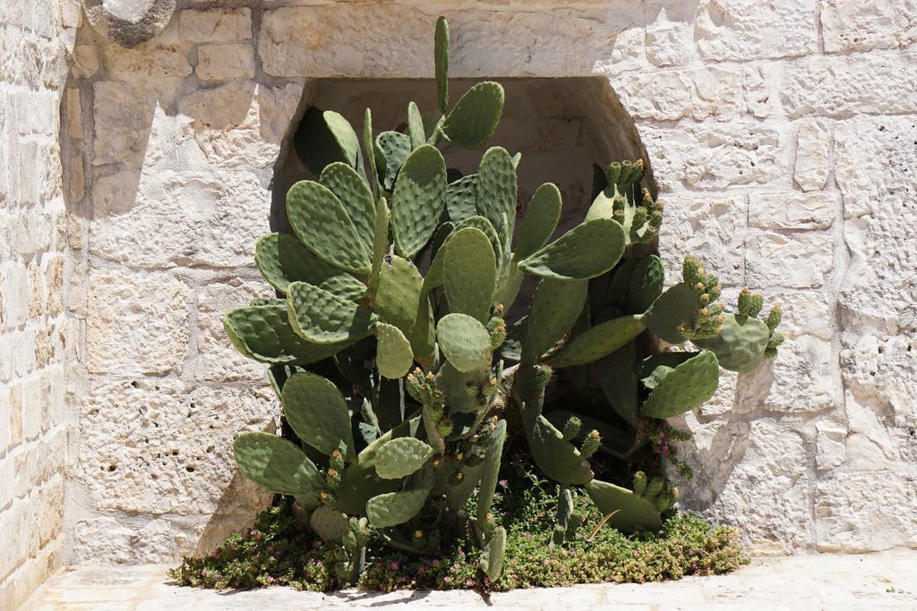 Trulli Holiday Albergo Diffuso Alberobello Exterior photo